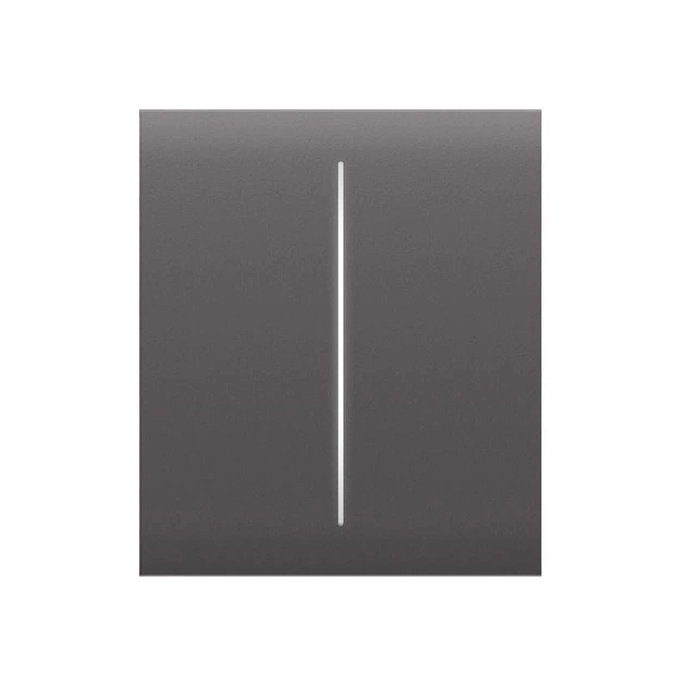 Накладна панель Ajax CenterButton 2-gang/grey - picture 1