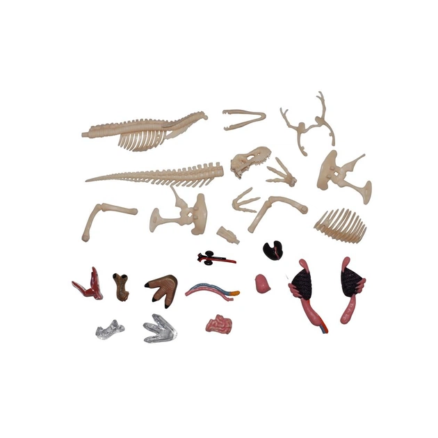 Пазл 4D Master Master Тиранозавр (FM-622013) - picture 9