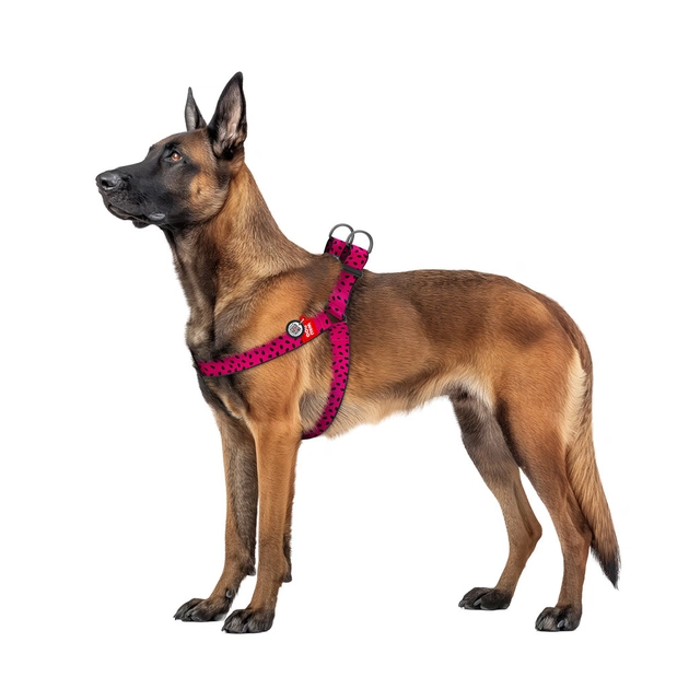 Шлея для собак WAUDOG Nylon з QR паспортом "Кавун" пластиковий фастекс XL (324-0049) - picture 3