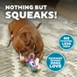 Игрушка для собак Outward Hound Durablez Owl XS Сова 14.6x11.4 см (0700603681469) - уменьшенное изображение 5