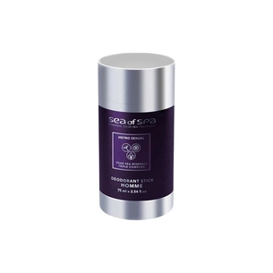 Дезодорант Sea of Spa Metro Sexual Bio-Mimetic Deodorant Stick Homme 75 мл (7290013761316) зображення 1