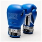 Боксерські рукавички Leone GN208 Iconic Blue 10 унцій (GN208_Blue_10oz) - зменшене зображення 2