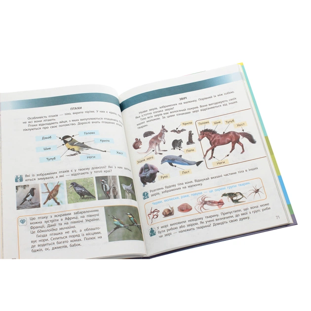 Підручник Я досліджую світ. Для 3 класу. У 2 частинах. Частина 1 - Н.М. Бібік, Г.П. Бондарчук Ранок (9786170962805) - изображение 5