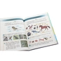 Підручник Я досліджую світ. Для 3 класу. У 2 частинах. Частина 1 - Н.М. Бібік, Г.П. Бондарчук Ранок (9786170962805) - зменшене зображення 5