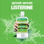 Ополіскувач для порожнини рота Listerine Naturals з ефірними оліями 500 мл (3574661643335/3574661657462) - уменьшенное изображение 10