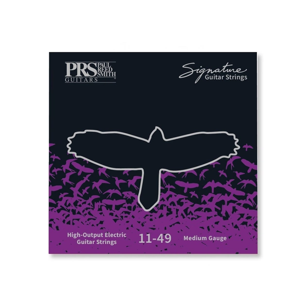 Струны для гитары PRS Signature Medium Guitar Strings 11-49 (100148005001004) - изображение 1