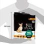 Сухий корм для собак Purina Pro Plan Dog Small&Mini Adult з куркою і рисом 700 г (7613035120778) - зменшене зображення 2