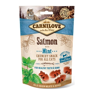 Ласощі для котів Carnilove Crunchy Snack з лососем і м'ятою 50 г (8595602527175) зображення 1