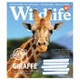 Зошит Yes А5 Wild life 96 аркушів, лінія (766133) - зменшене зображення 3