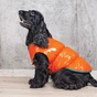 Жилет для тварин Pet Fashion "SPRING" XS жовтогарячий (4823082420445) - зменшене зображення 5
