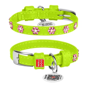 Нашийник для тварин WAUDOG Glamour з QR-паспортом "Квіти" XS Ш 15 мм Д 27-36 см салатовий (32845) зображення 1