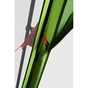 Тент Tramp Lite Mosquito Green (TLT-033.04) - зменшене зображення 12