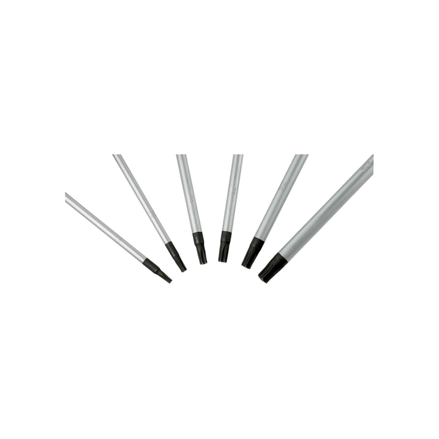 Набір викруток Bosch Torx 6шт, T10х75, T15х75, T20x100, T25x100, T30x125, T40x125 мм (1.600.A01.V09) - picture 6