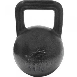 Гиря Newt чавунна 24 кг (NE-100-2400) зображення 1