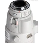Об'єктив Canon EF 200-400mm f/4.0L IS USM Extender 1.4X (5176B005) - зменшене зображення 3