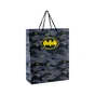 Подарунковий пакет Kite паперовий DC Comics 26х32 см (DC24-266) - зменшене зображення 1