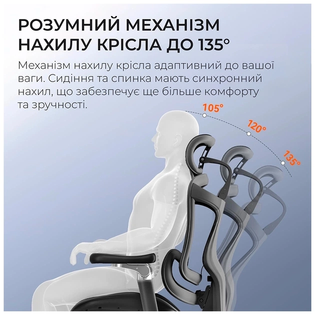 Офісне крісло Sihoo DORO C300 Pro Mesh Black (DORO-C300-PRO-M101) - picture 6