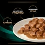 Вологий корм для кішок Purina Pro Plan Veterinary Diets EN Gastrointestinal При хворобах шлунково-кишкового тракту З куркою 10 x 85 г (8445290093561) - зменшене зображення 11