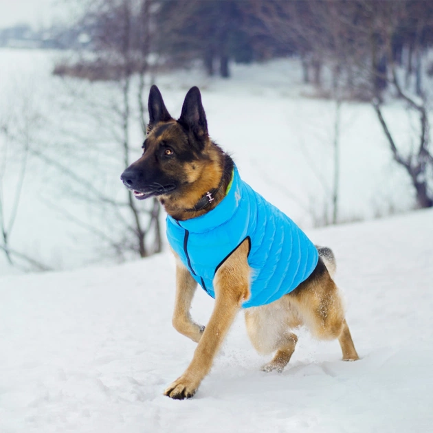 Курточка для тварин Airy Vest двостороння XS 25 салатово-блакитна (1597) - picture 6