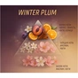 Ароматизатор для автомобіля VITOL Home Sticks Winter Plum 130 мл (VHS06) - preview 5