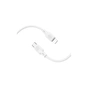 Дата кабель USB-C to Lightning 1.0m silicone BX113 Lenny white BOROFONE (6941991115387) - уменьшенное изображение 2