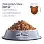 Сухий корм для кішок Club 4 Paws Преміум. Підтримка здоров'я сечовидільної системи 14 кг (4820083909375) - зменшене зображення 3