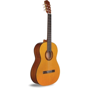 Гітара класична Cordoba C1 With Gig Bag зображення 1