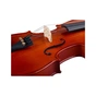 Скрипка Stentor Student Standard 4/4 (1018A) - зменшене зображення 6