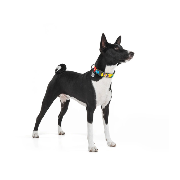 Нашийник для тварин WAUDOG Nylon з QR паспортом "Рік і Морті 1" пластиковий фастекс XXL (284-0280) - picture 4