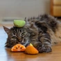 Игрушка для кошек Catstages Фруктовые дольки 4 шт. (0700603720939) - уменьшенное изображение 5