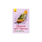 Книга Приймак чорної Туанетти - Сесілія Джемісон Ранок (9786170943712) - зменшене зображення 1
