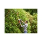 Кущоріз Black&Decker 500W, ніж 55 см, до 16 мм, з доп ножем, вага 2,54 кг (BEHTS401) - зменшене зображення 3