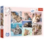Пазл Trefl У котячому світі 100 елементів (5900511164206) - зменшене зображення 1