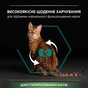 Сухий корм для кішок Purina Pro Plan Sterilised Adult 1+ Renal Plus Для дорослих стерилізованих З індичкою 14 кг (7613287887702) - зменшене зображення 5
