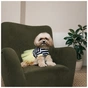 Сукня для тварин Pet Fashion Liana XS (4823082445905) - зменшене зображення 3