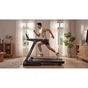 Беговая дорожка Kingsmith Treadmill ERS510T (RVER - 10100) (ERS510T) - уменьшенное изображение 17