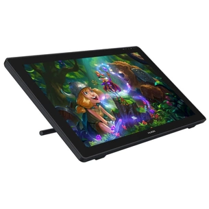 Планшет-монитор Huion Kamvas RDS-220 (RDS-220) изображение 1