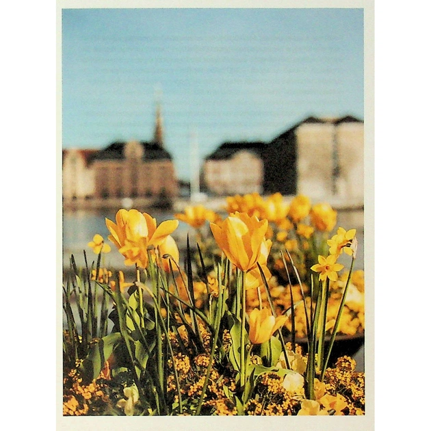 Книга Мистецтво праці по-данськи. Як знайти щастя у роботі й за її межами - Мік Вікінг КСД (9786171507203) - picture 7