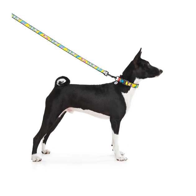 Нашийник для тварин WAUDOG Nylon з QR паспортом "Рік і Морті 1" пластиковий фастекс XXL (284-0280) - picture 3