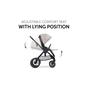 Коляска Hauck 2 в 1 Walk N Care (Beige) (16546-1) - зменшене зображення 7