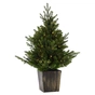 Штучна ялинка Chomik в горщику з підсвіткою 90 LED, 90 см (5900779899087) - уменьшенное изображение 3
