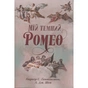 Книга Мій темний Ромео - Л. Дж. Шен, Паркер С. Гантінґтон Видавництво РМ (9786178373665) - зменшене зображення 1