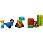 Конструктор LEGO Duplo My First Мій перший сад (10819) - зменшене зображення 6