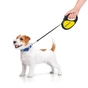 Повідок для собак WAUDOG R-leash "Сміливість" S до 15 кг 5 м чорний (8124-0231-01) - зменшене зображення 8
