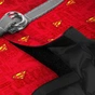 Шлея для собак WAUDOG Clothes з QR паспортом "Супермен червоний" S2 (1012-4007) - зменшене зображення 3