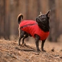 Жилет для тварин Pet Fashion "E.Vest" XS червоний (4823082424436) - зменшене зображення 3