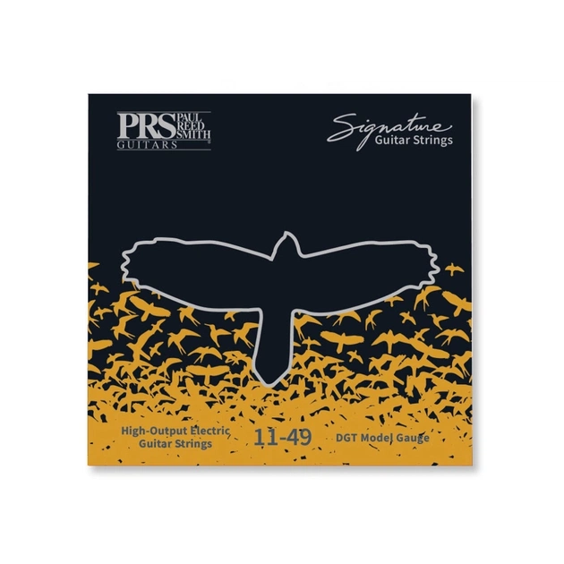 Струни для гітари PRS Signature David Grissom Guitar Strings (11-49) (100148004001004) - зображення 1