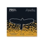 Струни для гітари PRS Signature David Grissom Guitar Strings (11-49) (100148004001004) - зменшене зображення 1