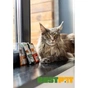 Влажный корм для кошек Nature's Protection Adult cats Sterilised Turkey with Cranberry 100 г (NPUPF63655) - уменьшенное изображение 7