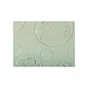 Тоник для лица Hidehere Cica Care Toner Emulsion 25 мл (8809795341099) - уменьшенное изображение 2